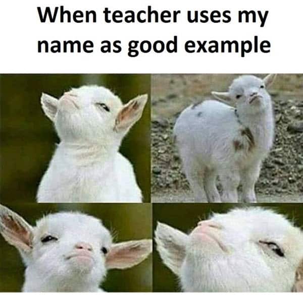 funny school good example memes