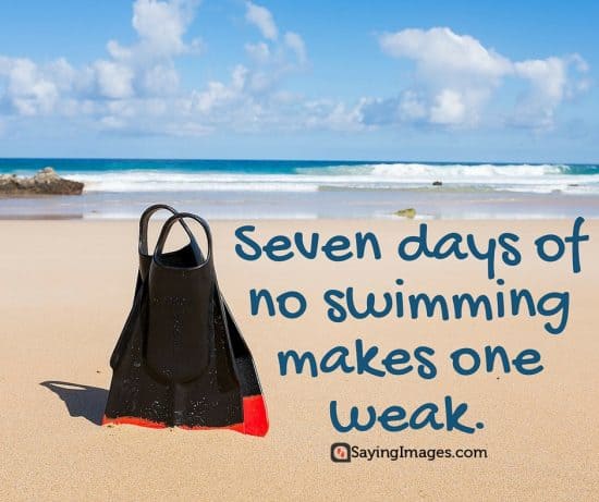 50 Fun And Motivational Swimming Quotes Sayingimagescom