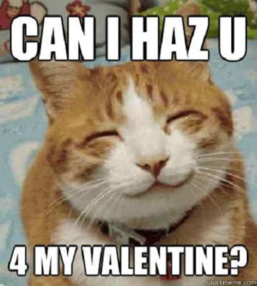 funny valentines can i haz u meme