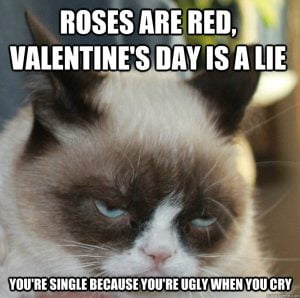 75 Funny Valentine Memes To Get You Through V Day - SayingImages.com