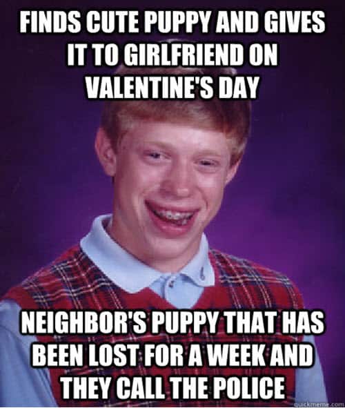 funny valentines finds cute puppy meme