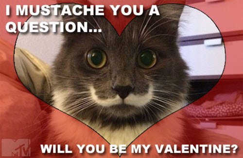 funny valentines i mustache you meme