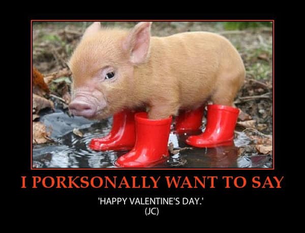 funny valentines i porksonally want to say meme