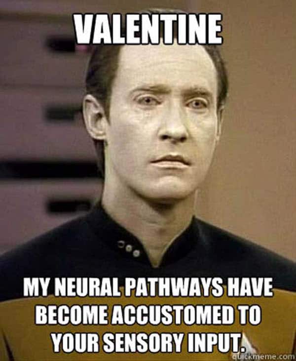 funny valentines neural pathways meme