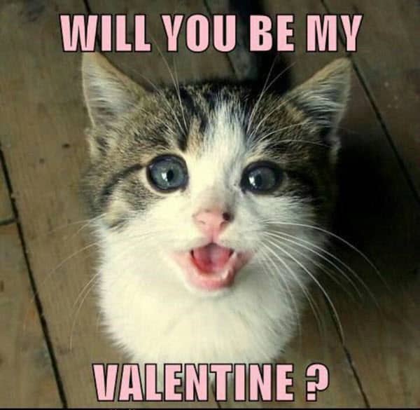 funny valentines will you be meme