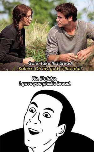 20 Hunger Games Memes That Only Fans Will Understand | SayingImages.com