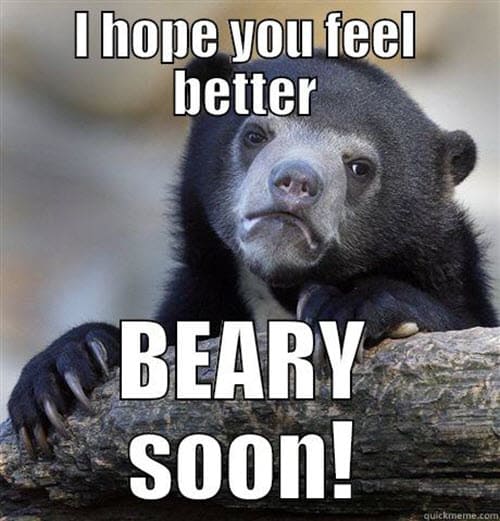 get well beary soon meme