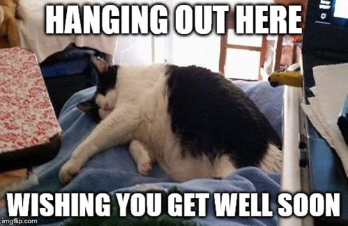 get well soon hanging out here meme