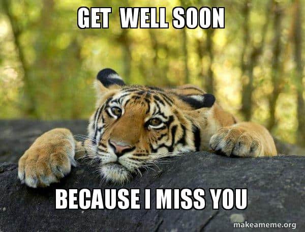 40 Funny Get Well Soon Memes To Cheer Up Your Dear One - SayingImages.com