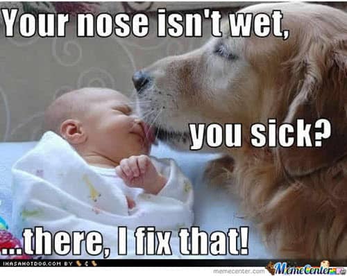 40 Funny Get Well Soon Memes To Cheer Up Your Dear One - SayingImages.com