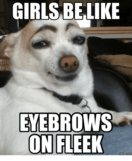 25 Eyebrow Memes That Are Totally On Fleek!