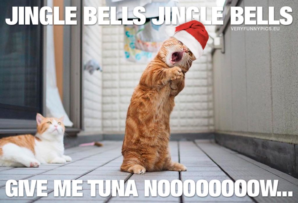 15 Christmas Song Memes To Make Your Holidays Extra Fun