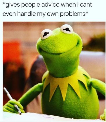 25 Kermit the Frog Memes That Are Insanely Hilarious - SayingImages.com