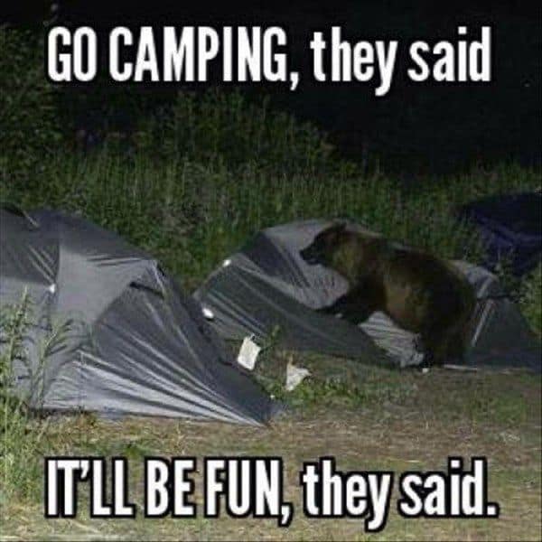 family camping trip meme