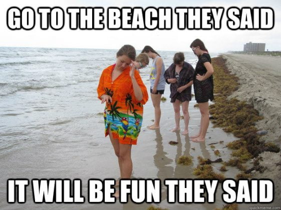 Relatable Beach Memes For The Summer Sayingimages Com