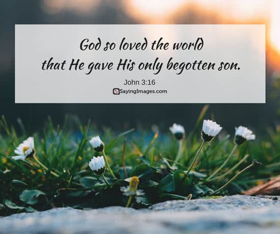 20 Good Friday Quotes On Solemn Reflection Sayingimages Com It's that most people do what they enjoy most on those two days. good friday quotes on solemn reflection