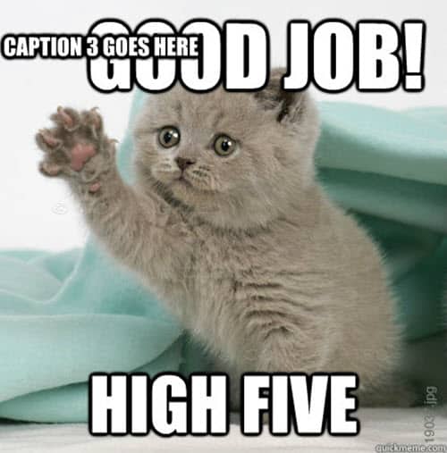 Good Job High Five Meme