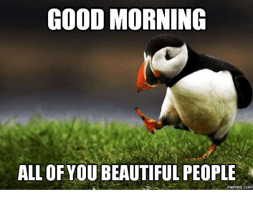 Cute & Funny 'Good Morning Beautiful' Memes For Your Loved Ones