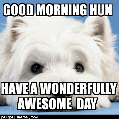 80 Good Morning Memes To Kickstart Your Day Sayingimages Com