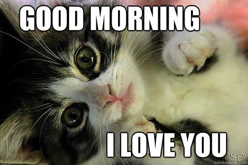 80 Good Morning Memes To Kickstart Your Day | SayingImages.com