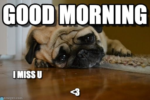 20 Good Morning Memes to Brighten Up Your Day | SayingImages.com