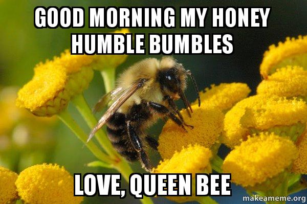 Entertaining Bee Memes You Just Can T Ignore Sayingimages Com