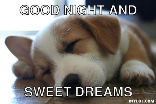 50 Cutest Goodnight Memes Sayingimages Com