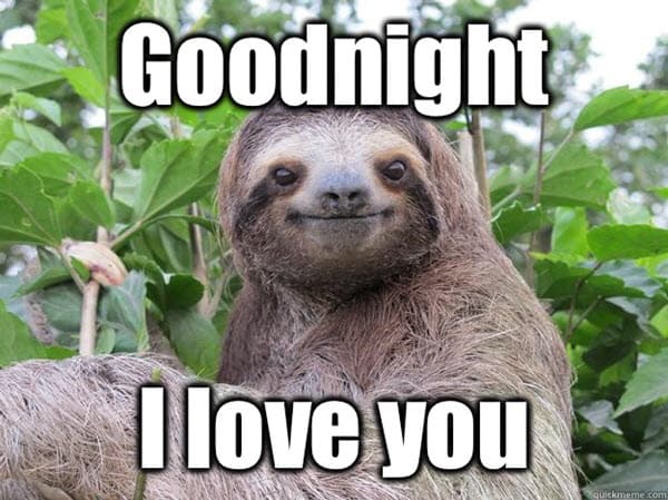 50 Cutest Goodnight Memes Sayingimages Com