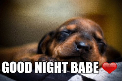 goodnight babe meme