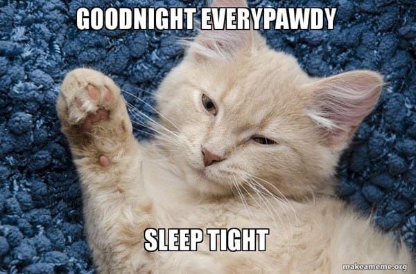 goodnight everypawdy meme