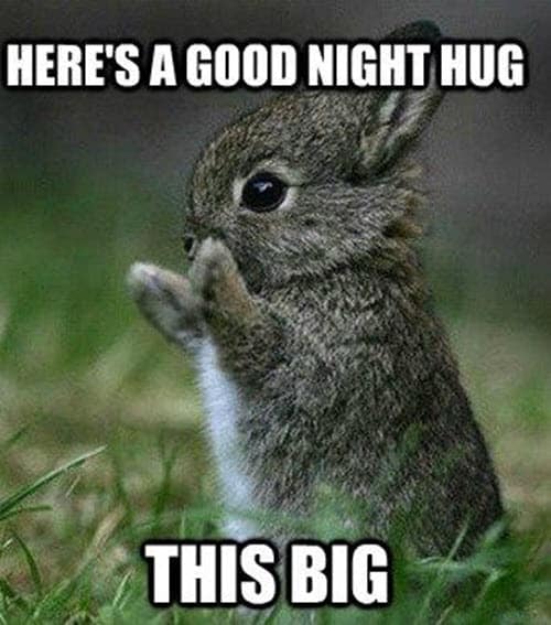 goodnight hug meme