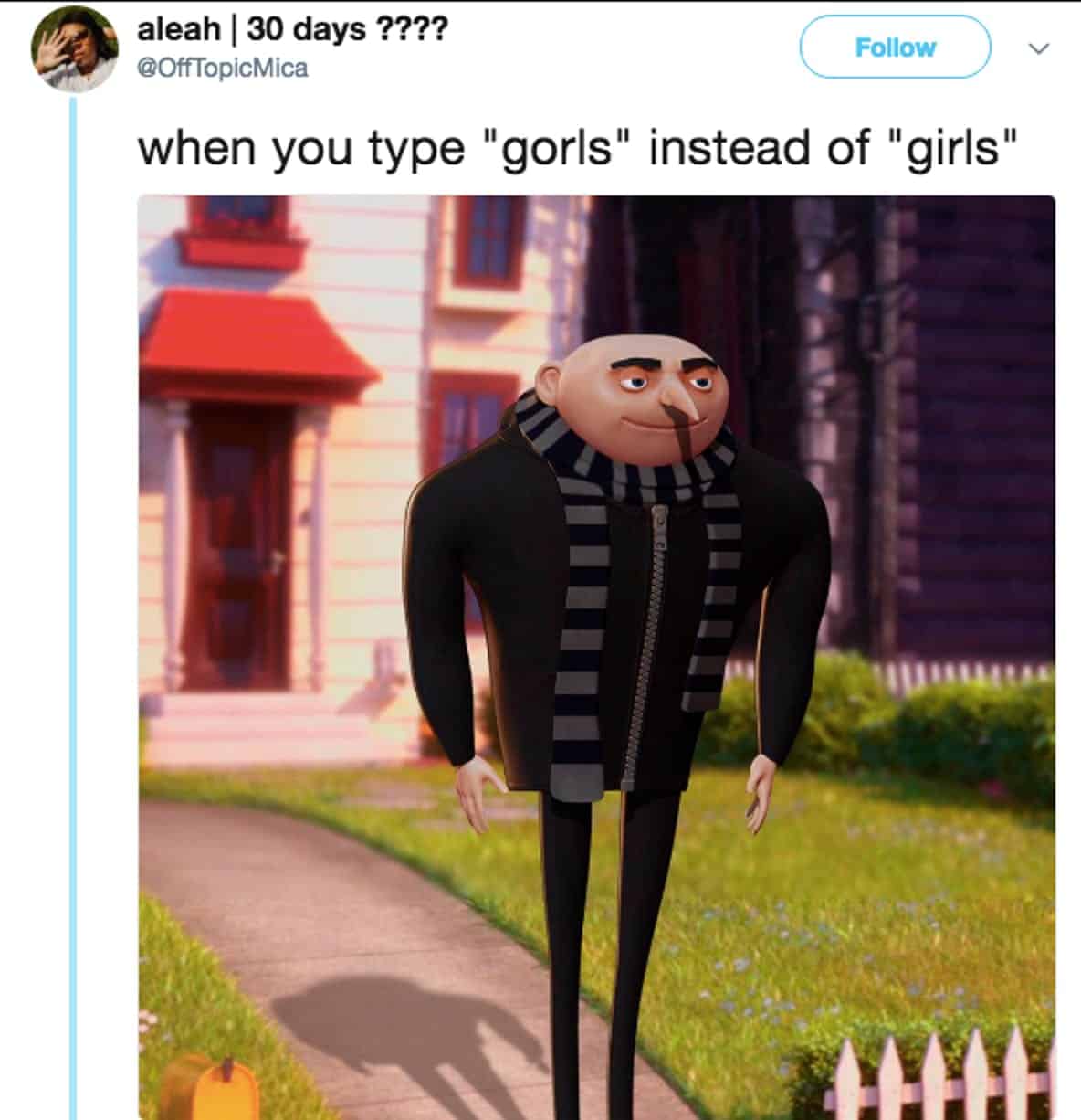 Gru Girls Meme