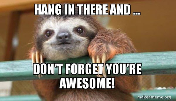 hang in there and be awesome meme