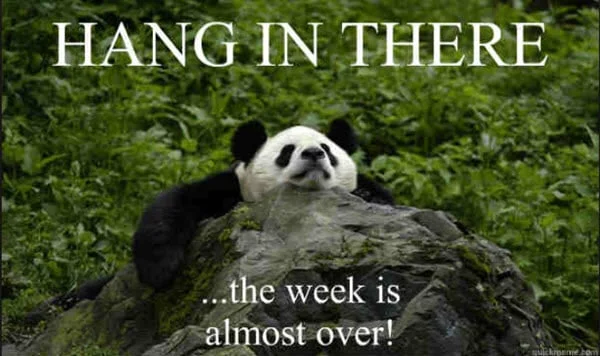 hang in there the week is almost over meme