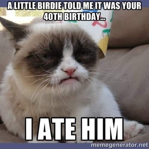 happy 40th birthday grumpy cat meme