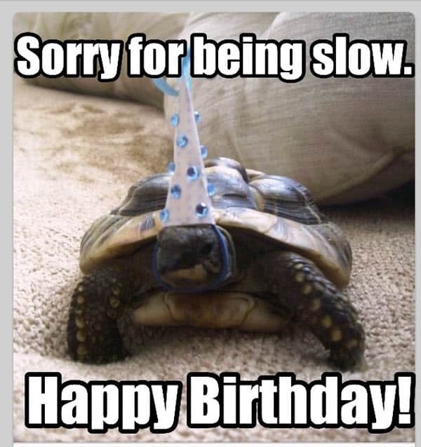 happy belated birthday being slow meme