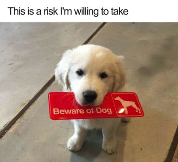 happy beware of dog memes