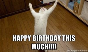 35 Cat Birthday Memes That Are Way Too Adorable - SayingImages.com