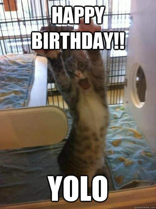 35 Cat Birthday Memes That Are Way Too Adorable 
