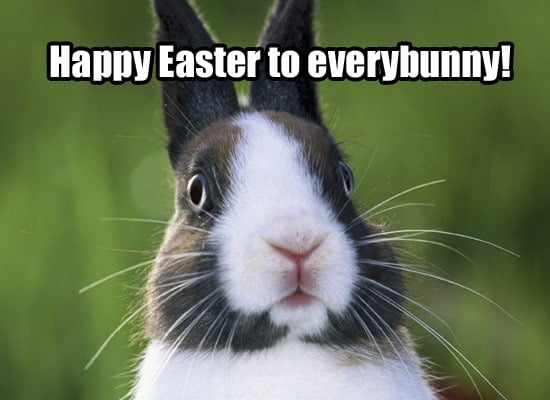 [Image: happy-easter-to-everybunny-meme.jpg]