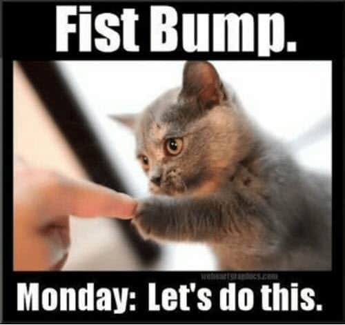 happy-monday-fist-bump-meme.jpg