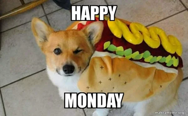happy monday hotdog meme