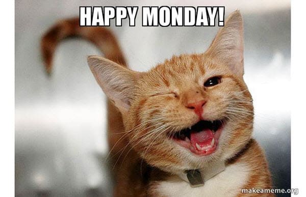 happy monday wink meme