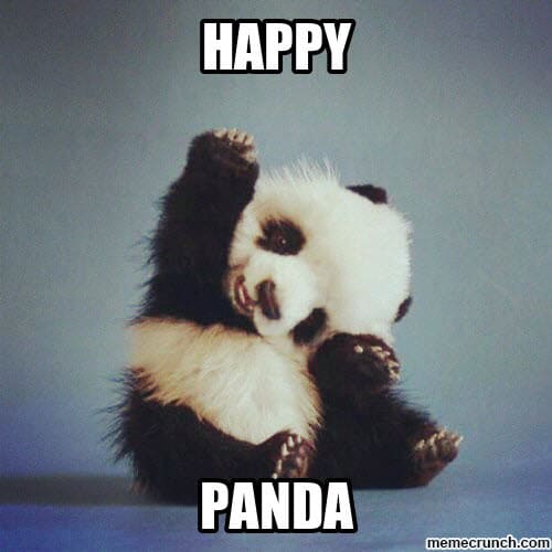 happy panda memes