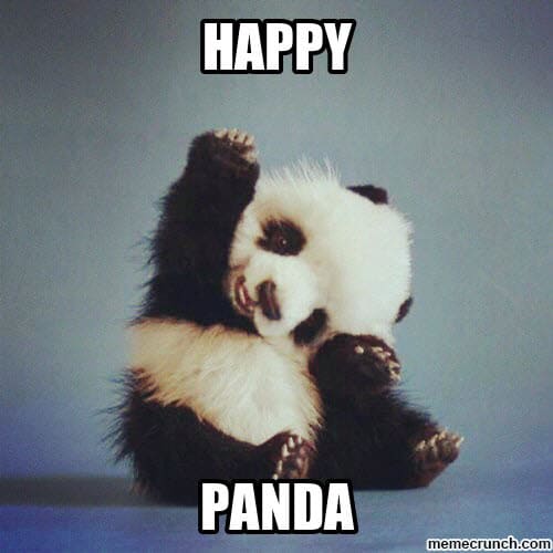 Panda Feliz memes