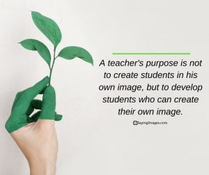 45 Happy Teacher’s Day Quotes - Saying Images