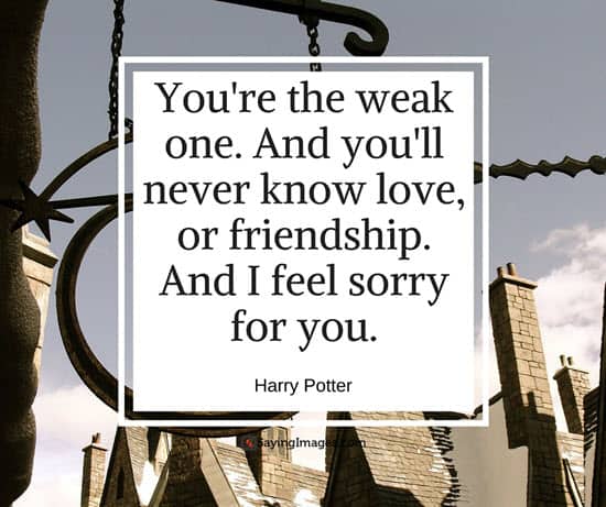 harry potter book quotes