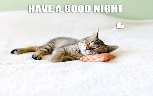 50 Cutest Goodnight Memes - SayingImages.com