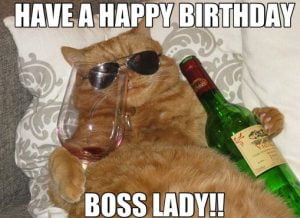 Cat Birthday Memes That Are Way Too Adorable Bodytech