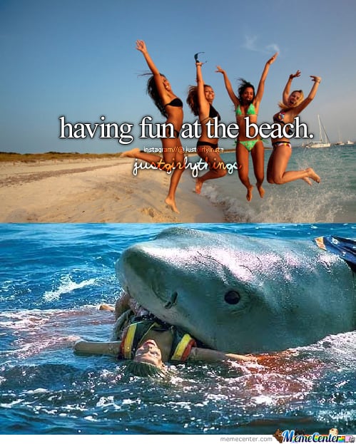 beach life meme